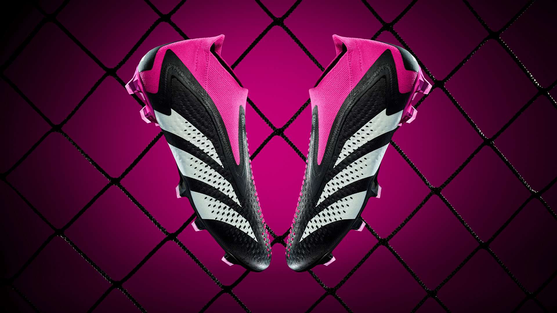 而是他极具 而是他极具